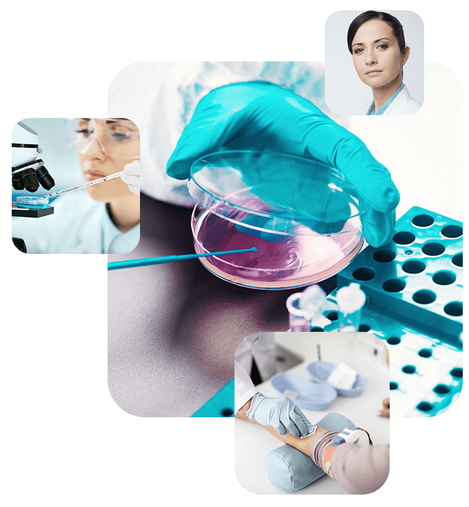 https://dm.tatvakrishna.com/wp-content/uploads/2020/04/experience_02.png